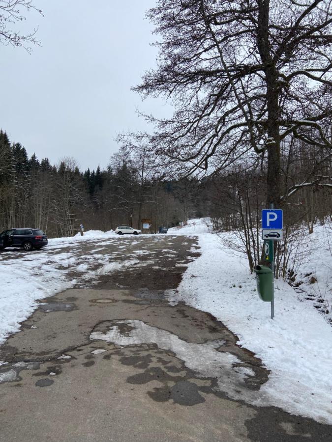 Gemuetliche Ferienwohnung Evieline In Todtmoos Exteriör bild