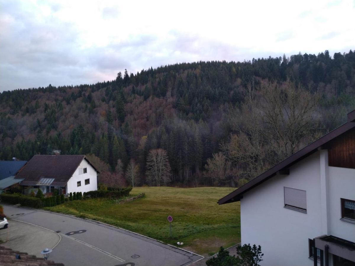 Gemuetliche Ferienwohnung Evieline In Todtmoos Exteriör bild