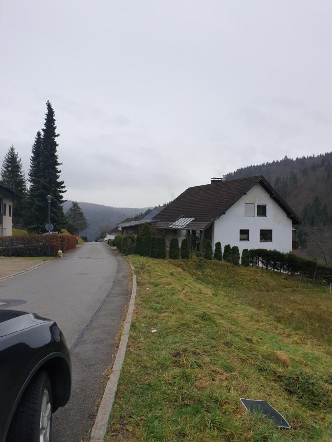 Gemuetliche Ferienwohnung Evieline In Todtmoos Exteriör bild